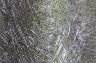 Ulceby fibreglass roof work